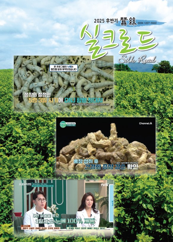 실크로드 2025 후반기